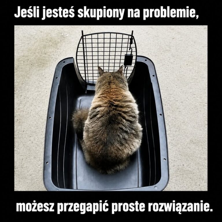 JESTEŚ SKUPIONY NA&nbsp;PROBLEMIE